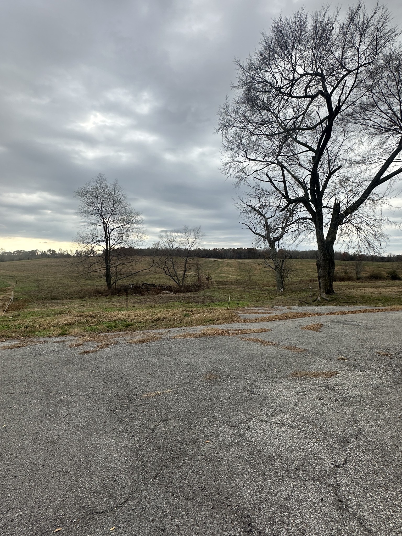 46 Caps Road Indian Mound, TN 37079 - Photo 4 of 6