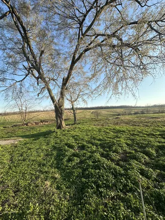 a view of an outdoor space and a yard