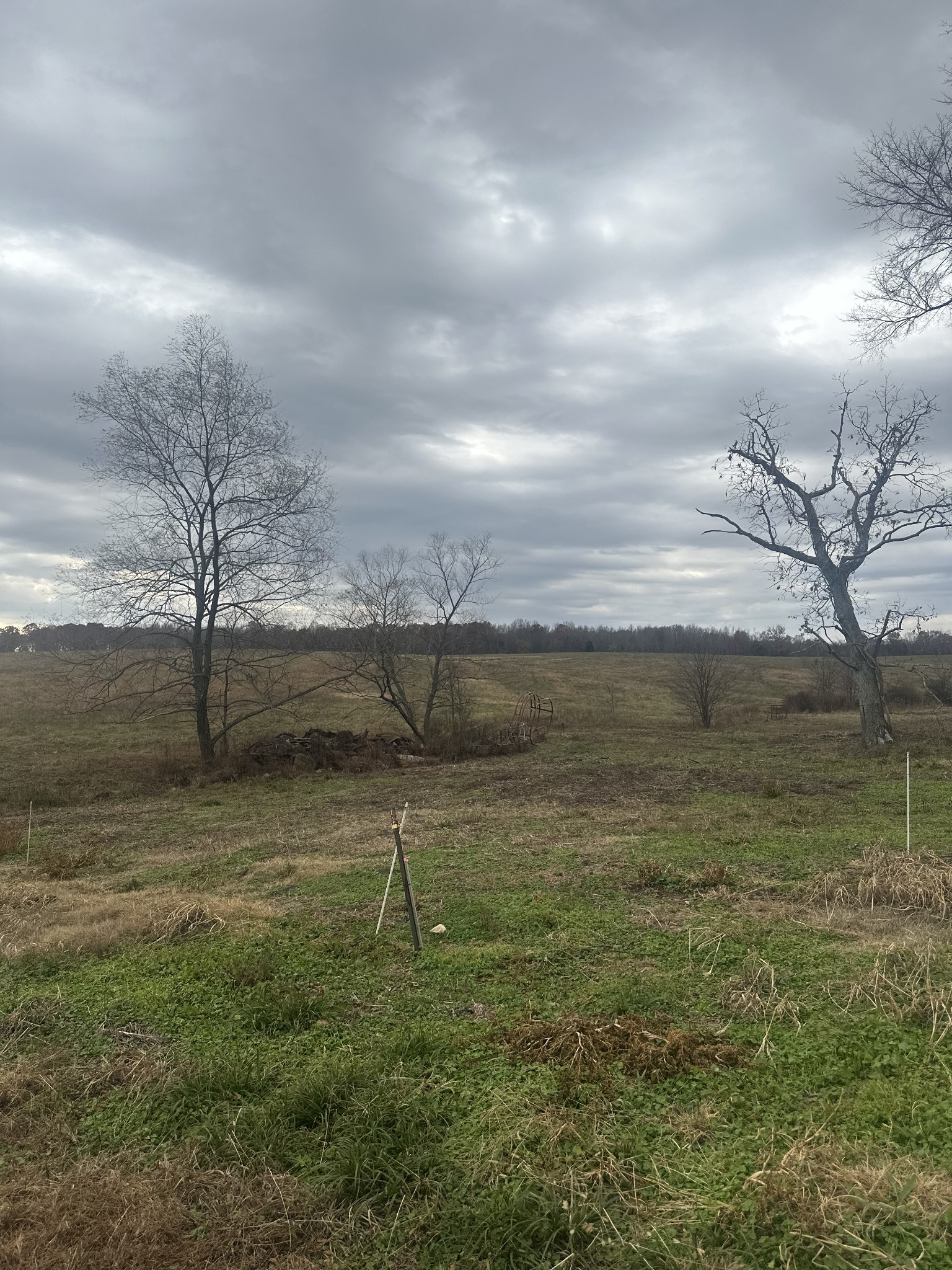 46 Caps Road Indian Mound, TN 37079 - Photo 5 of 6 a view of a yard