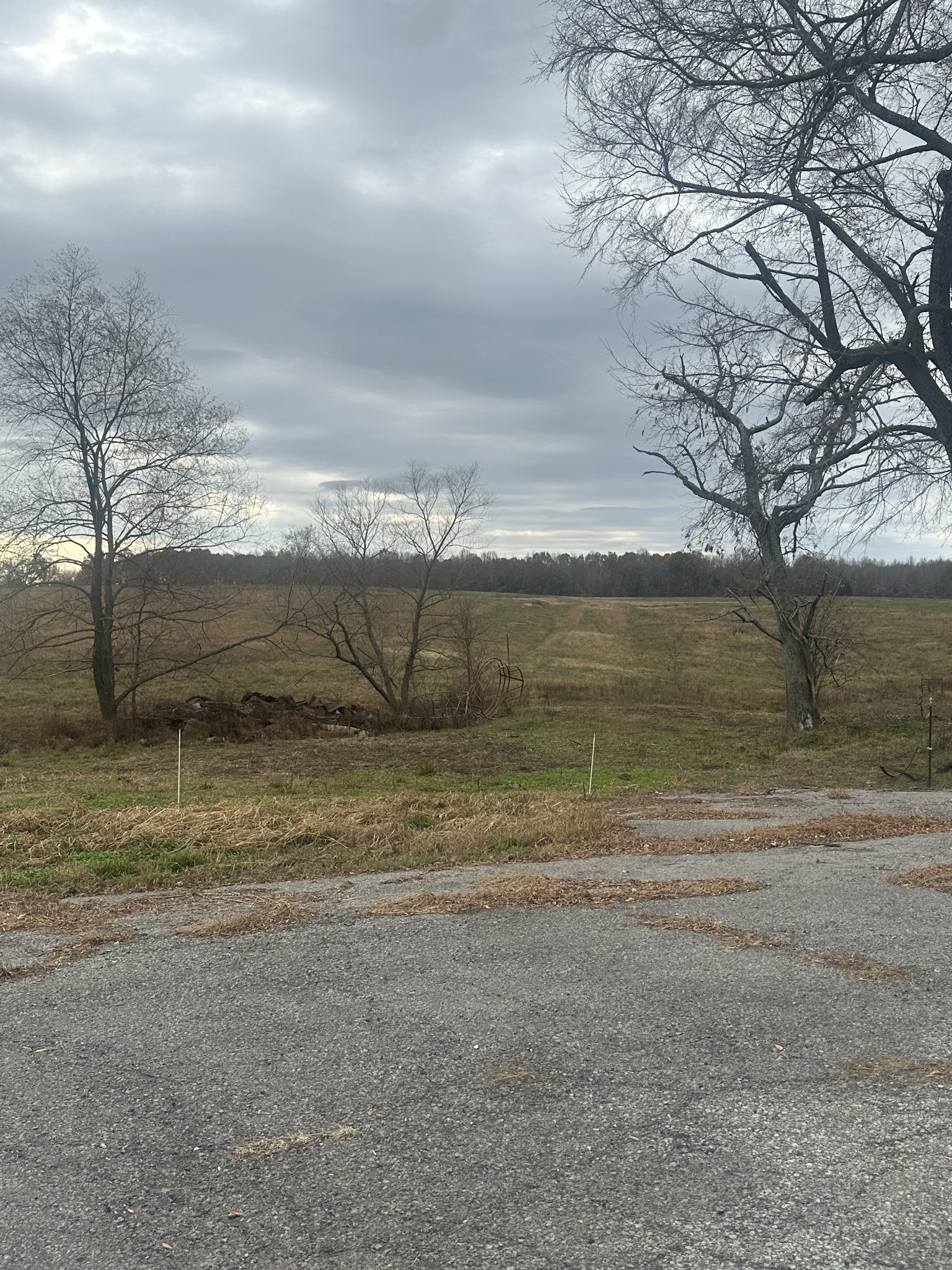 46 Caps Road Indian Mound, TN 37079 - Photo 6 of 6 a view of a lake view