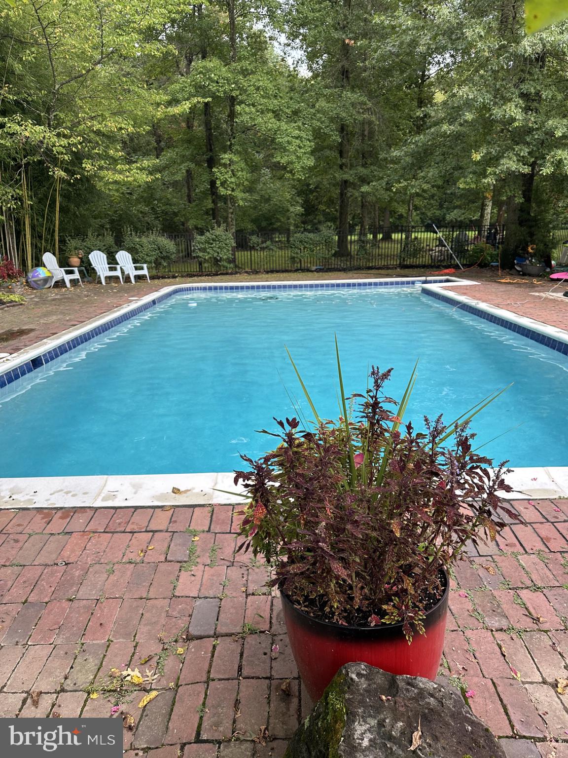 6246 Point Pleasant Pike Doylestown, PA 18902 - Photo 38 of 40 a view of a yard with plants and large trees