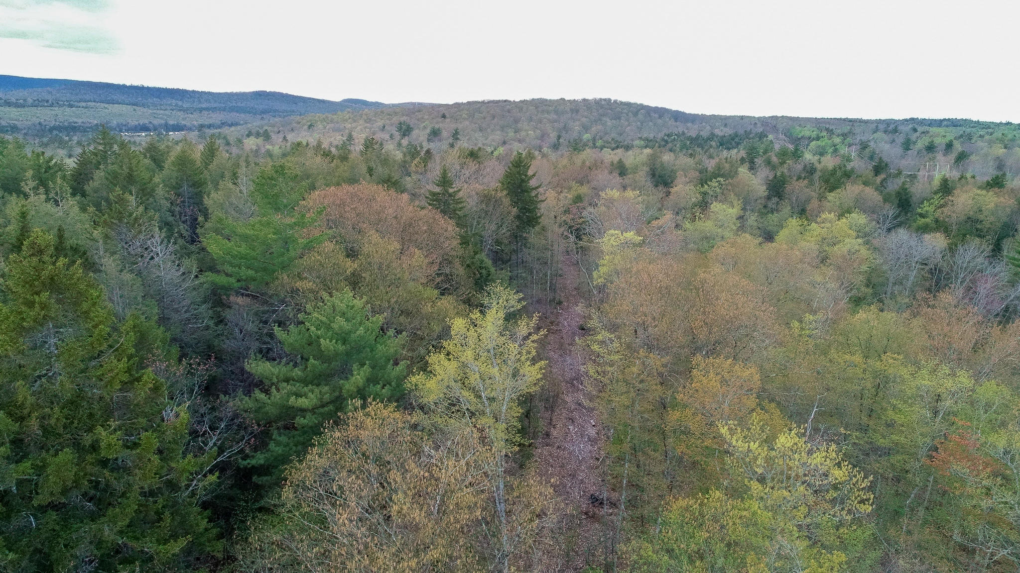 1509 Otis Road Ellsworth, ME 04605 - Photo 7 of 26 DJI_0023-2