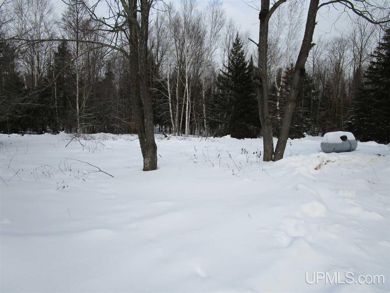 12805 North Stanley Road Manistique, MI 49854 - Photo 2 of 6