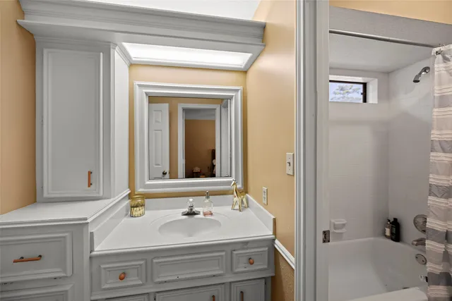 a bathroom with a sink and a mirror