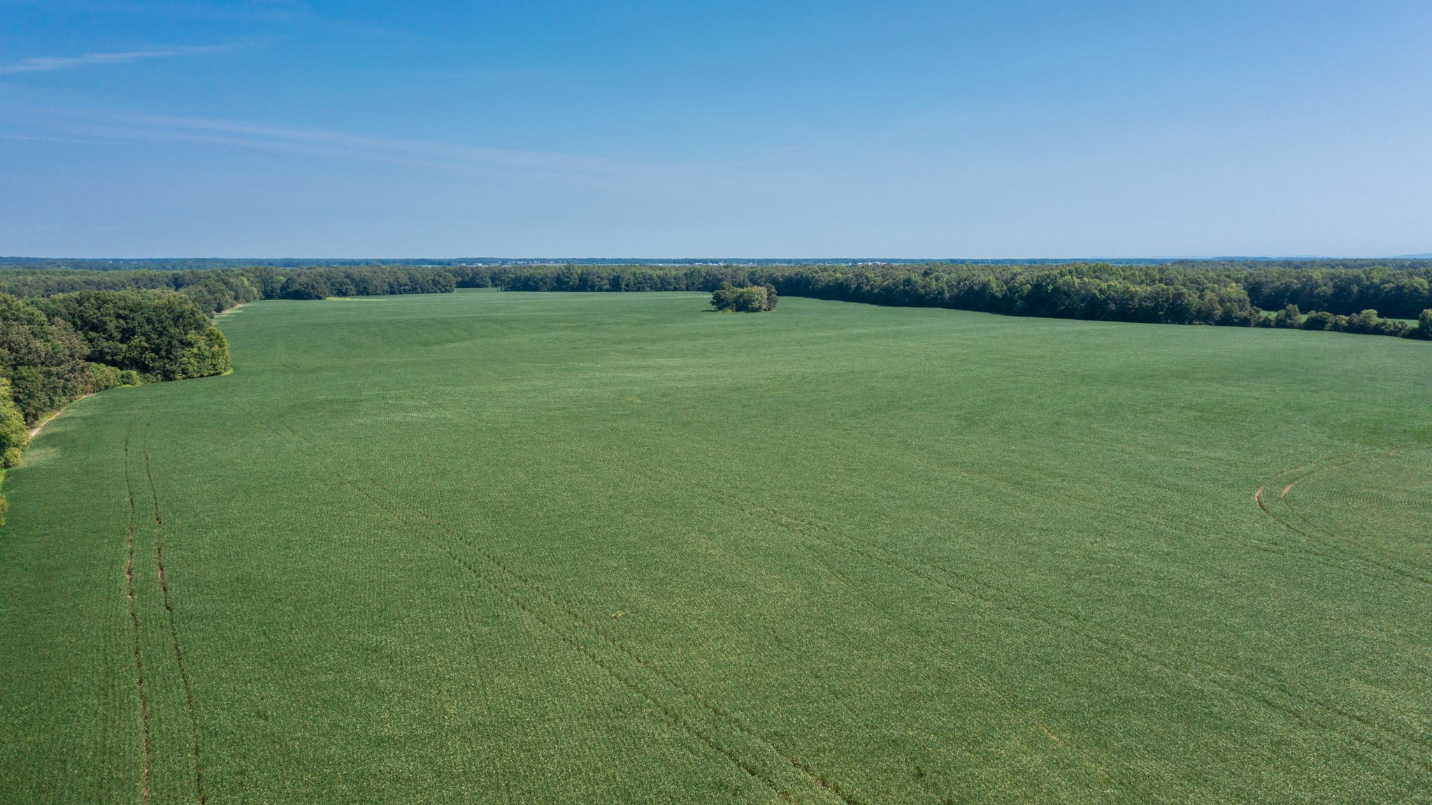 454 Limestone Road Elora, TN 37328 - Photo 2 of 12 a view of a field with an ocean