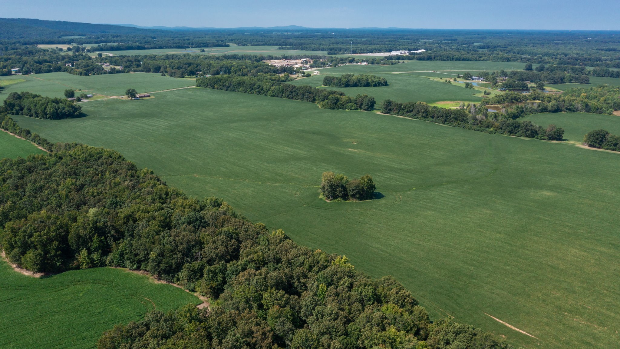454 Limestone Road Elora, TN 37328 - Photo 3 of 12 an aerial view of a golf course with chairs