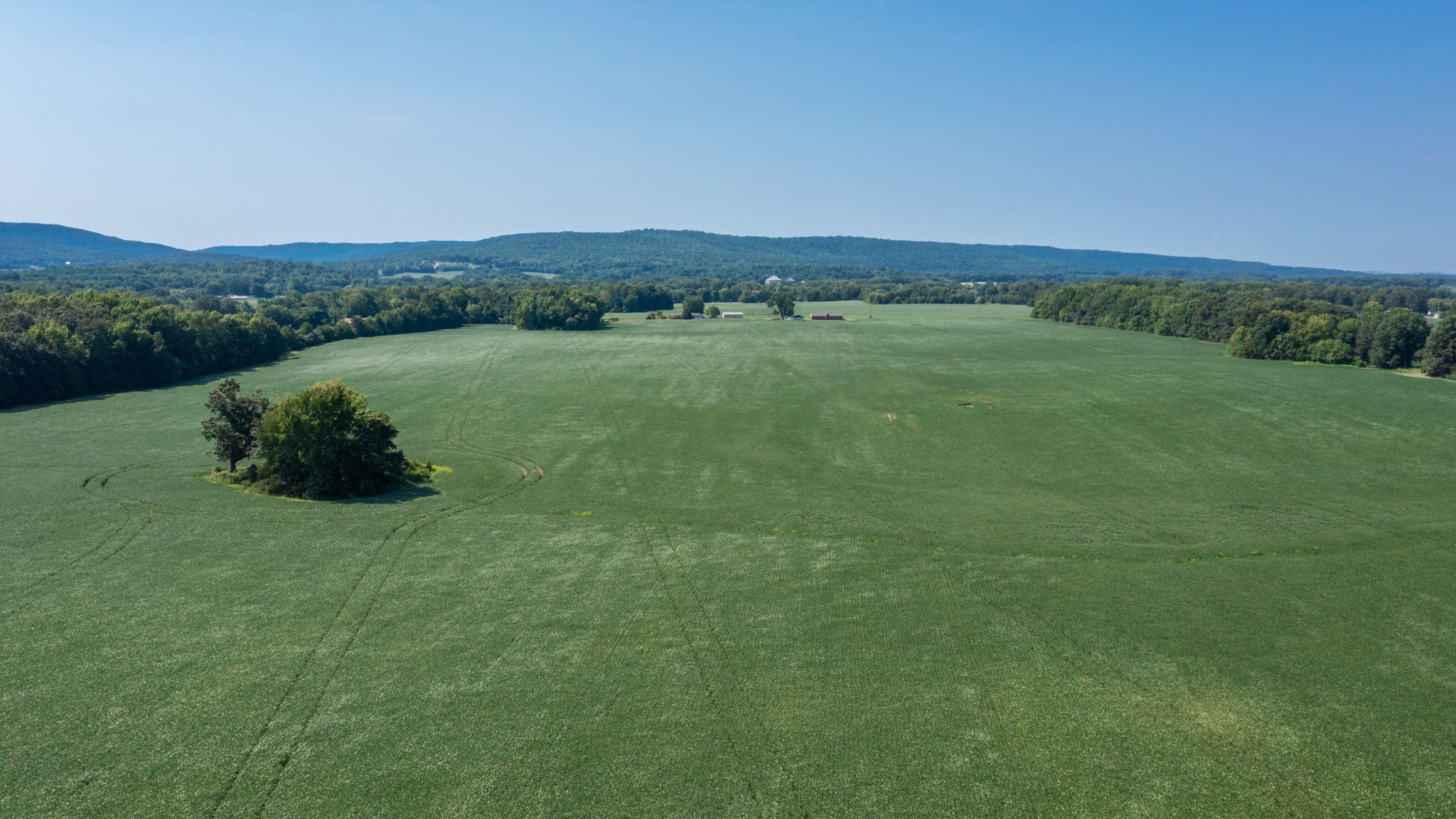 454 Limestone Road Elora, TN 37328 - Photo 6 of 12 a view of a field with an outdoor space
