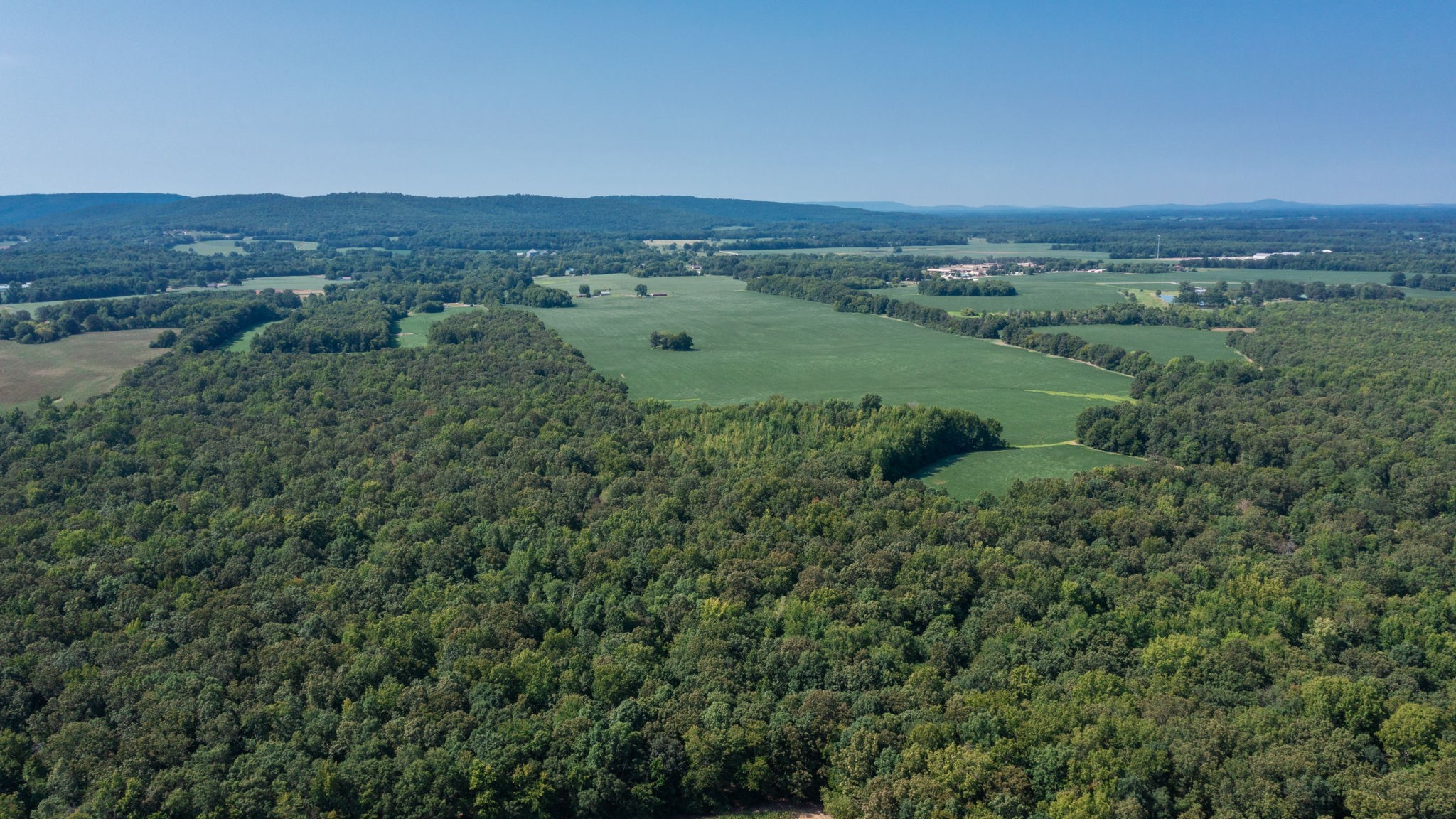 454 Limestone Road Elora, TN 37328 - Photo 7 of 12 an aerial view of greenery