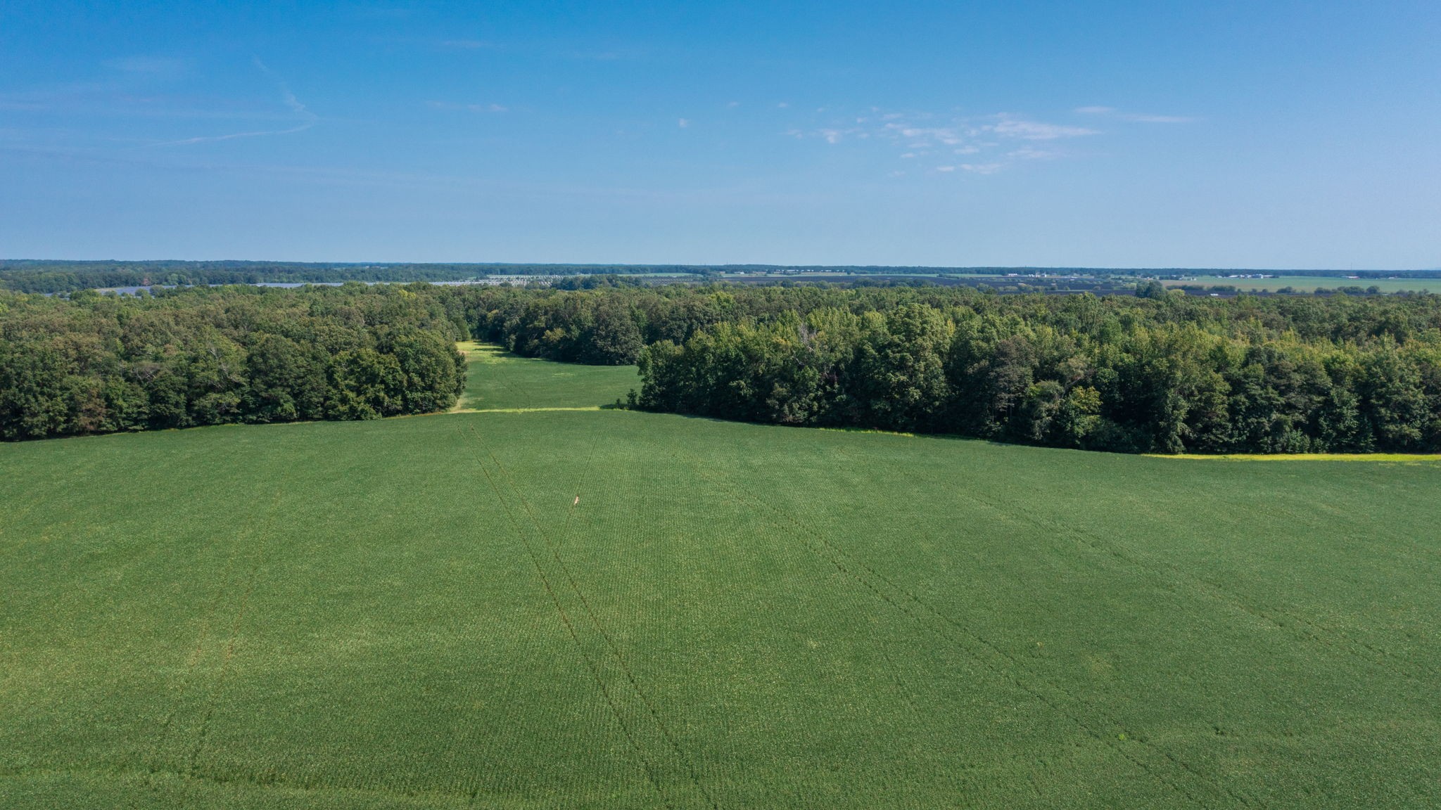 454 Limestone Road Elora, TN 37328 - Photo 8 of 12 a view of a field with an ocean