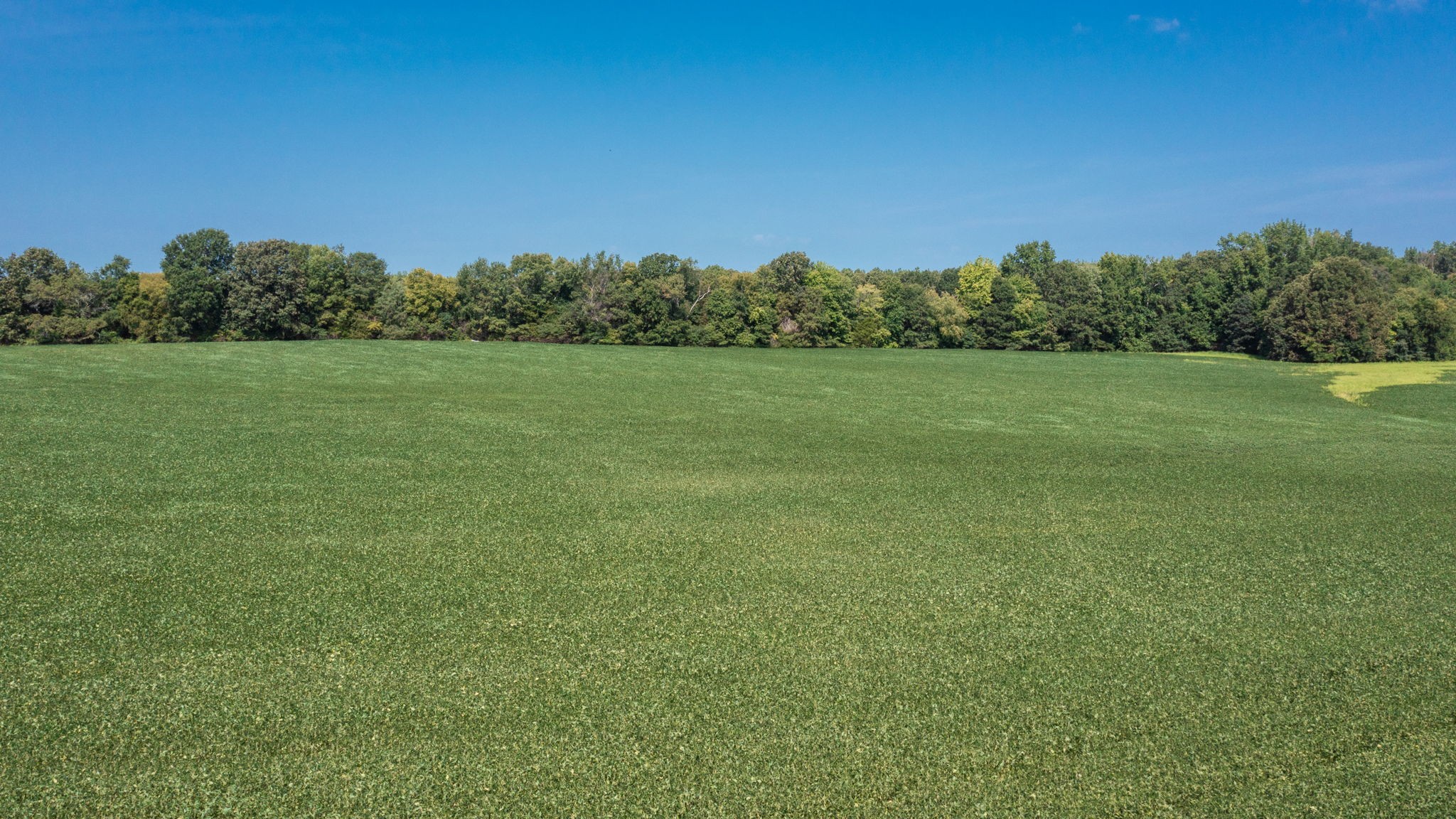454 Limestone Road Elora, TN 37328 - Photo 9 of 12 a view of field with trees in background