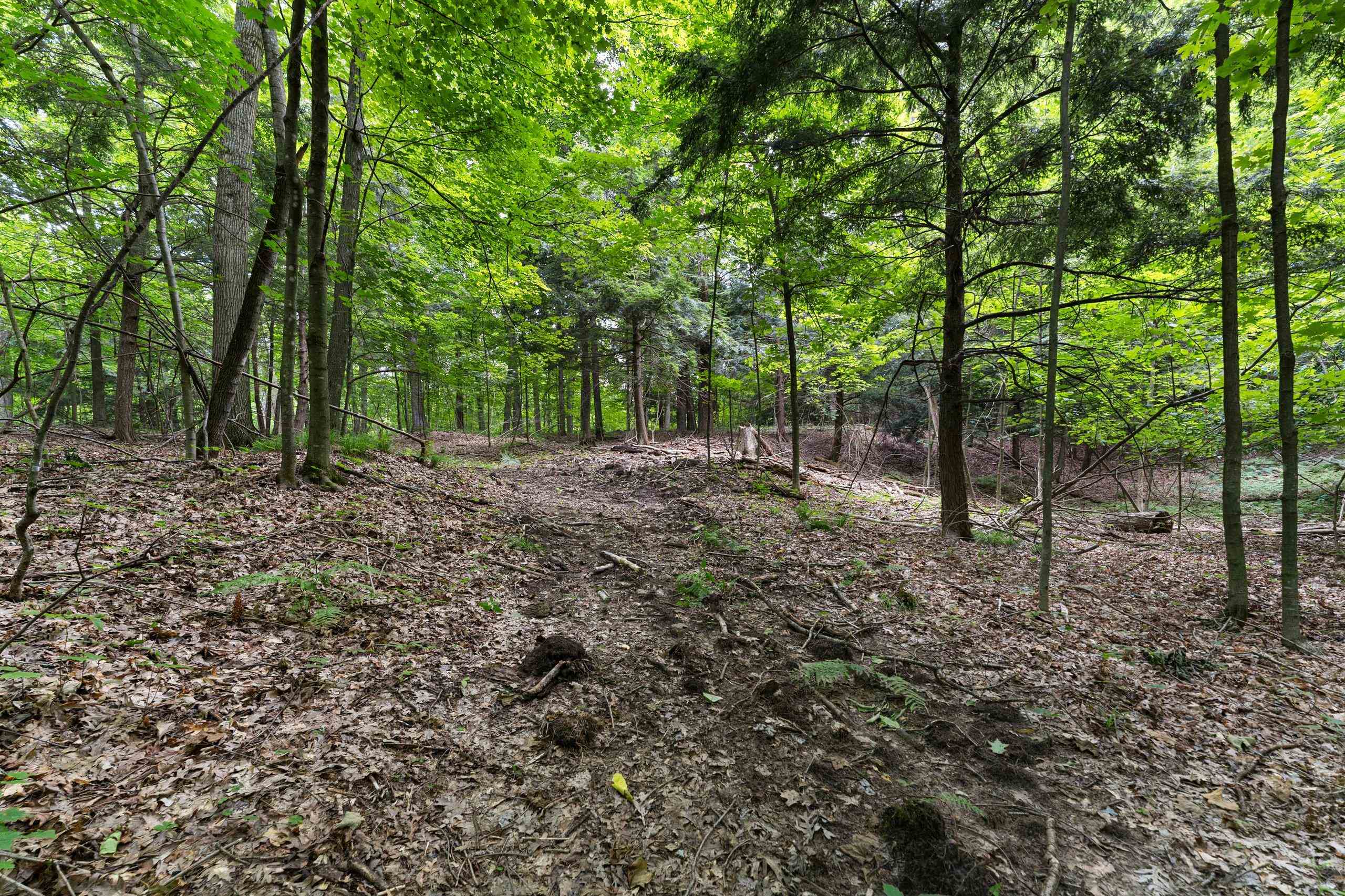 200800 Canopy Lane Rosholt, WI 54473 - Photo 21 of 90