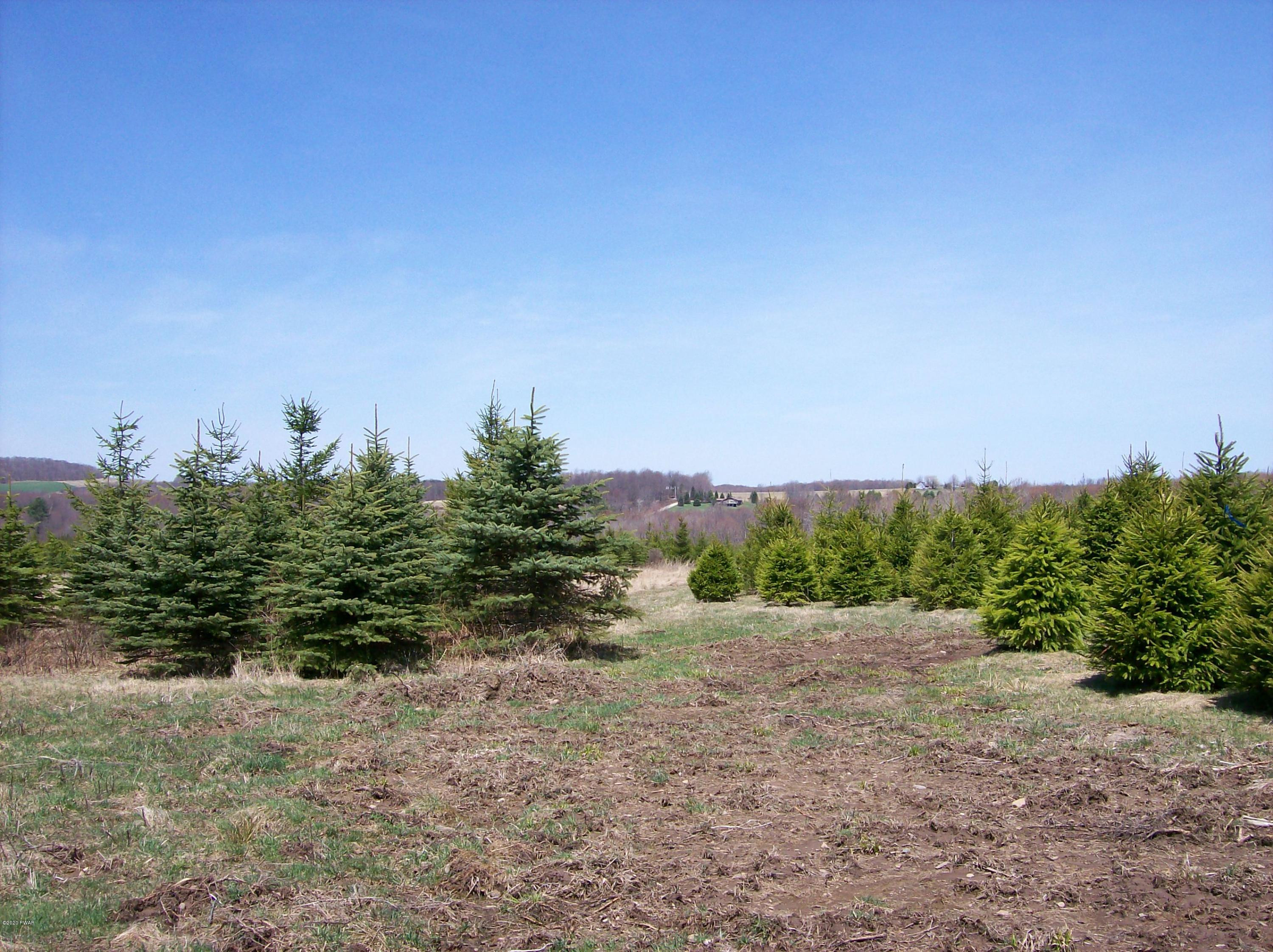 Clark Road Thompson, PA 18465 - Photo 13 of 16 Level Parcel