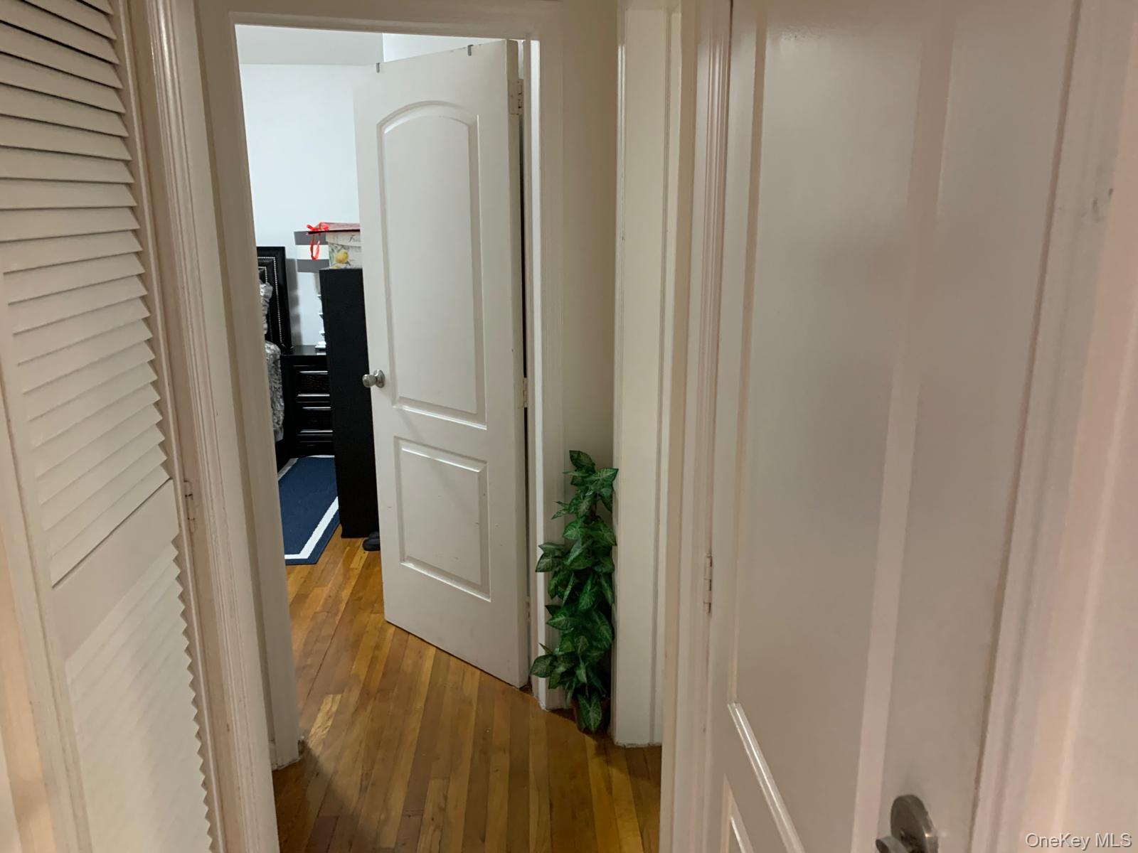 217-05 104th Avenue Queens, NY 11429 - Photo 24 of 43 a close view of closet