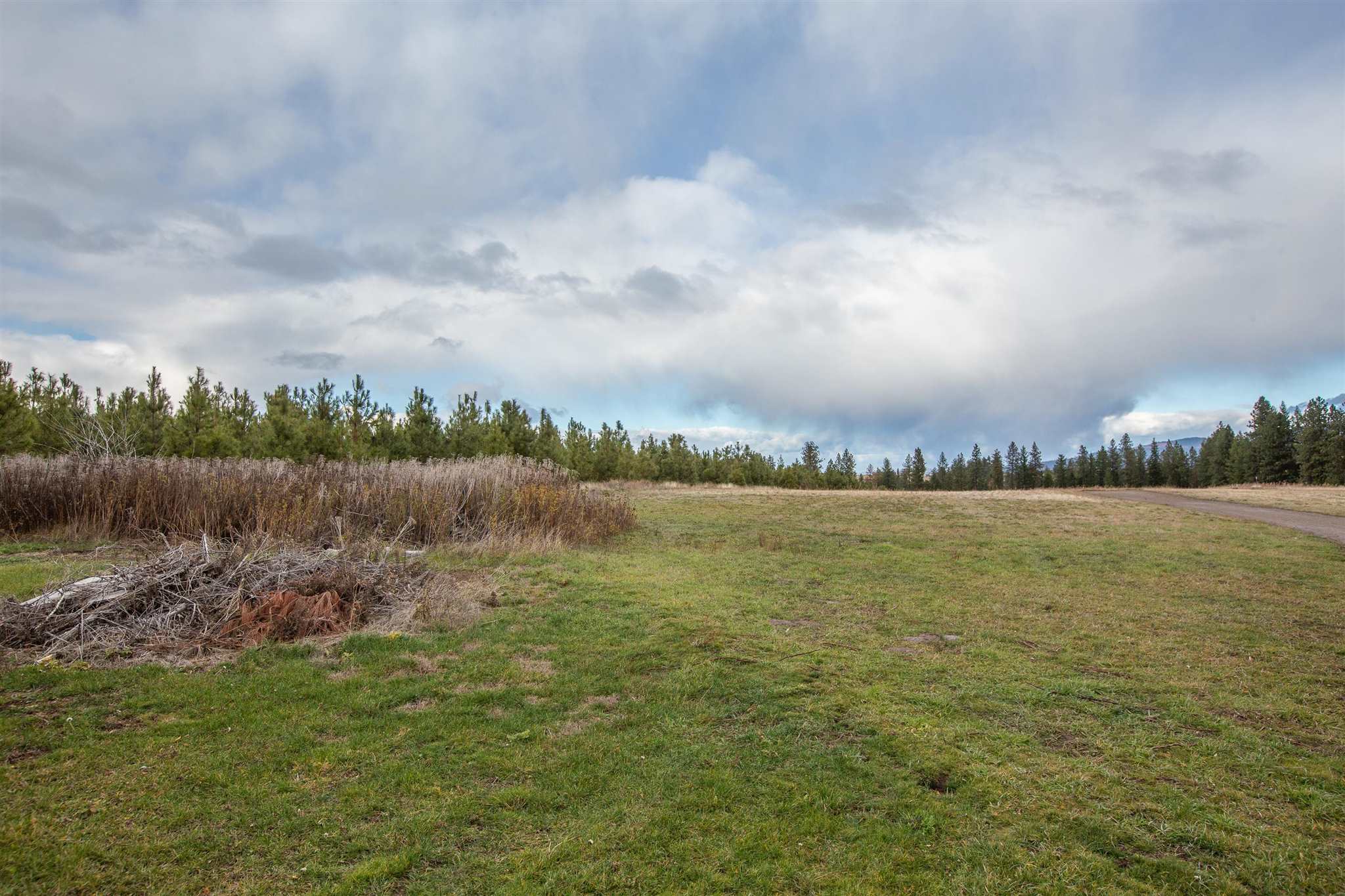 14219 East Piper Road Spokane, WA 99217 - Photo 29 of 30