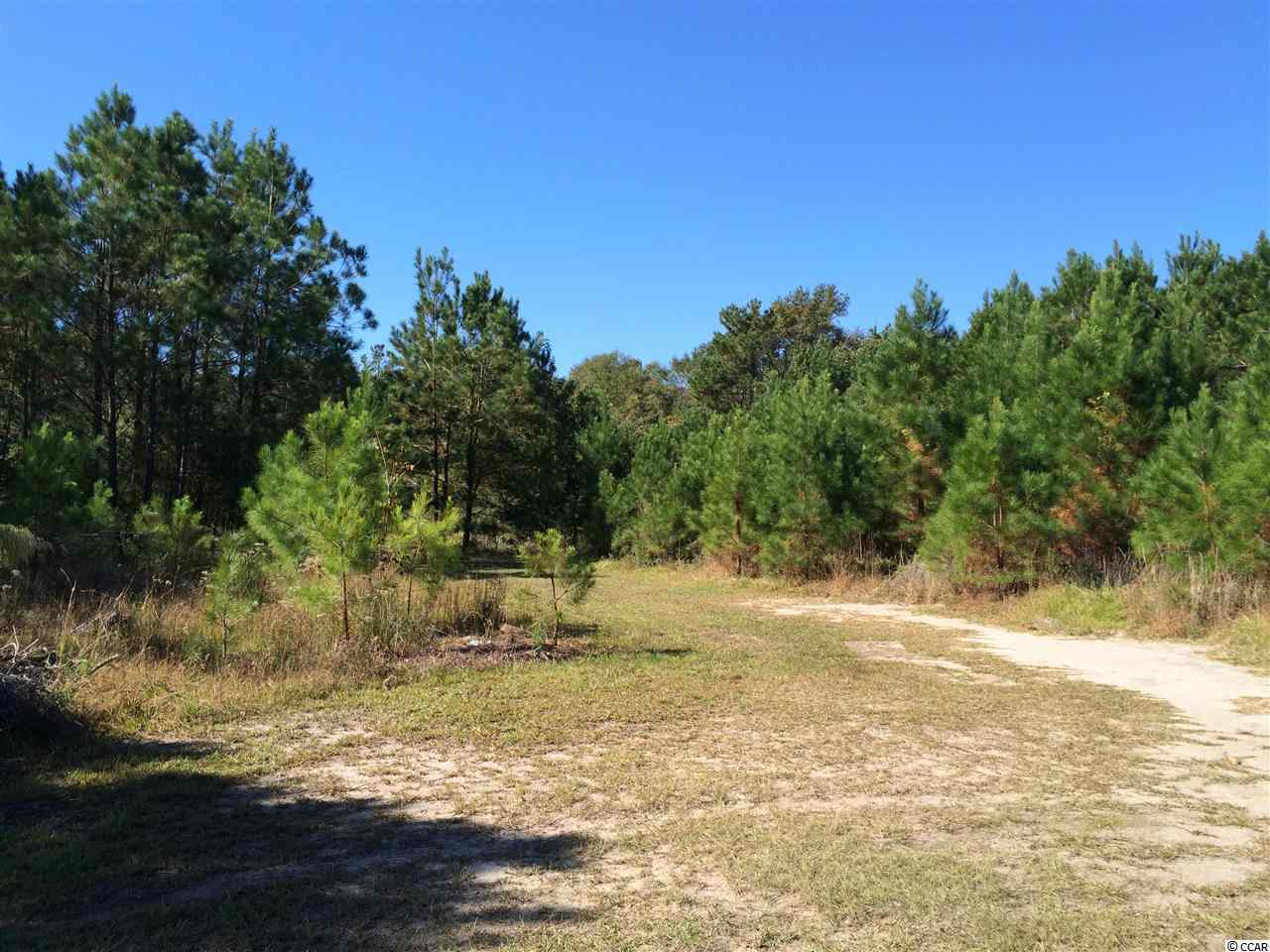 905 Longs Sc 29568 Longs, SC 29568 - Photo 1 of 9