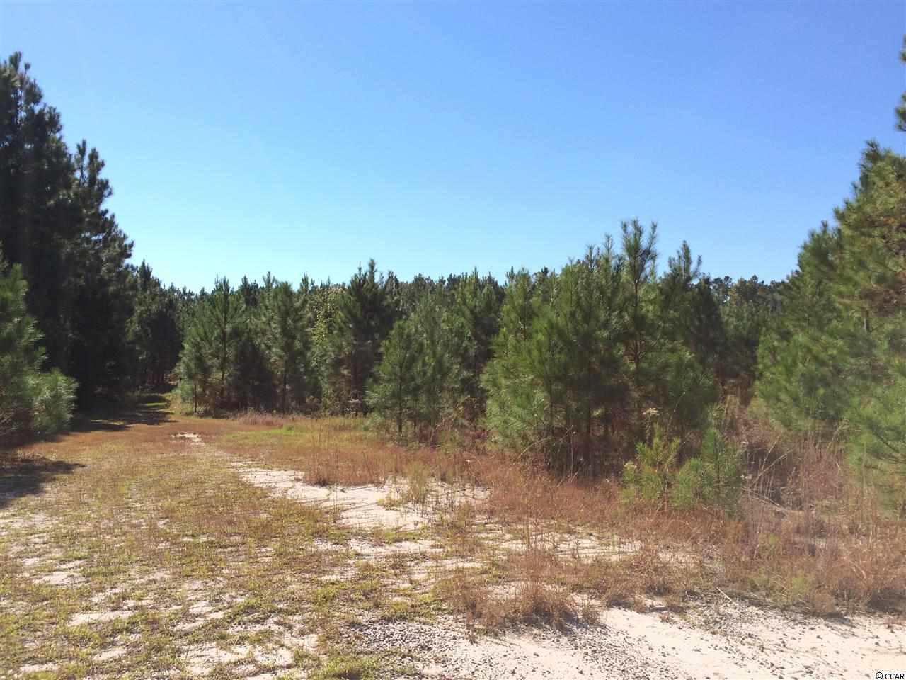 905 Longs Sc 29568 Longs, SC 29568 - Photo 2 of 9