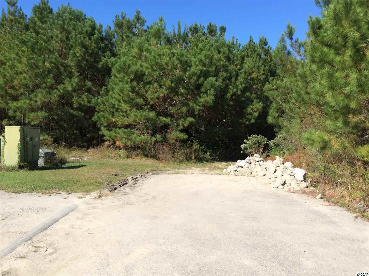 905 Longs Sc 29568 Longs, SC 29568 - Photo 3 of 9