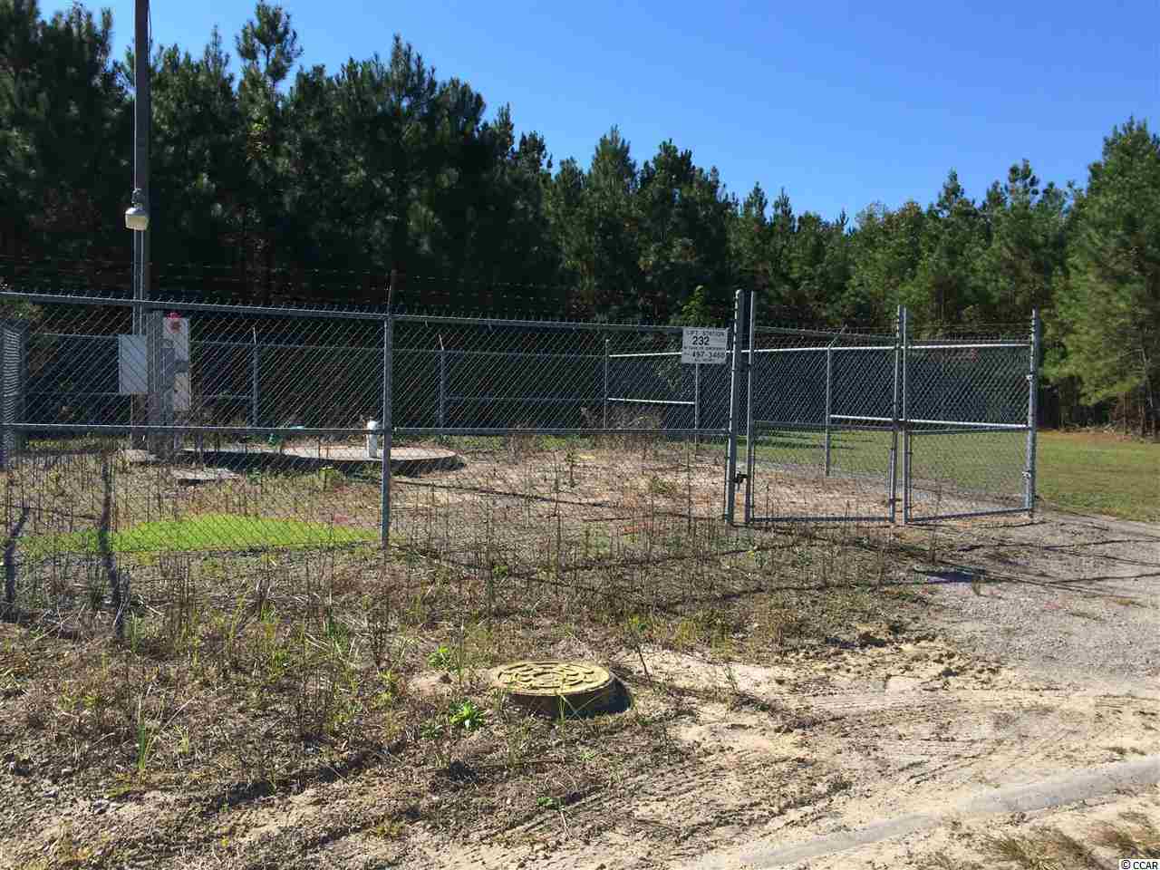 905 Longs Sc 29568 Longs, SC 29568 - Photo 4 of 9