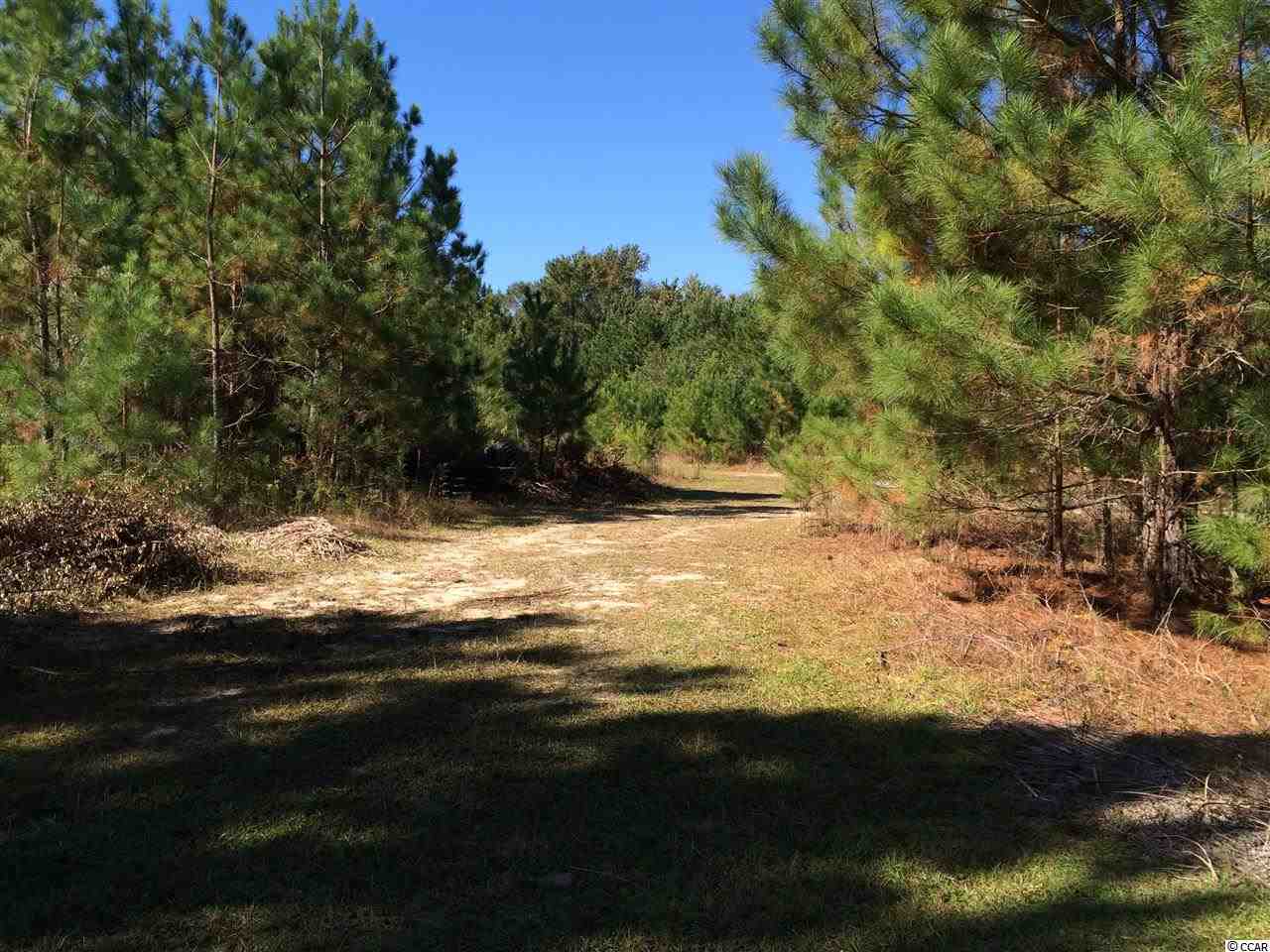 905 Longs Sc 29568 Longs, SC 29568 - Photo 5 of 9