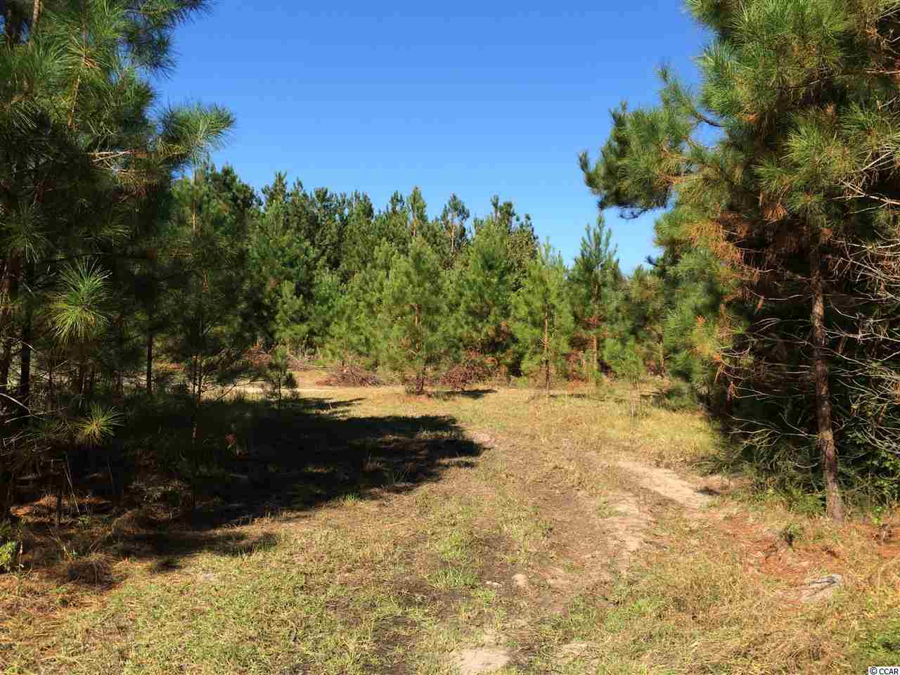 905 Longs Sc 29568 Longs, SC 29568 - Photo 6 of 9