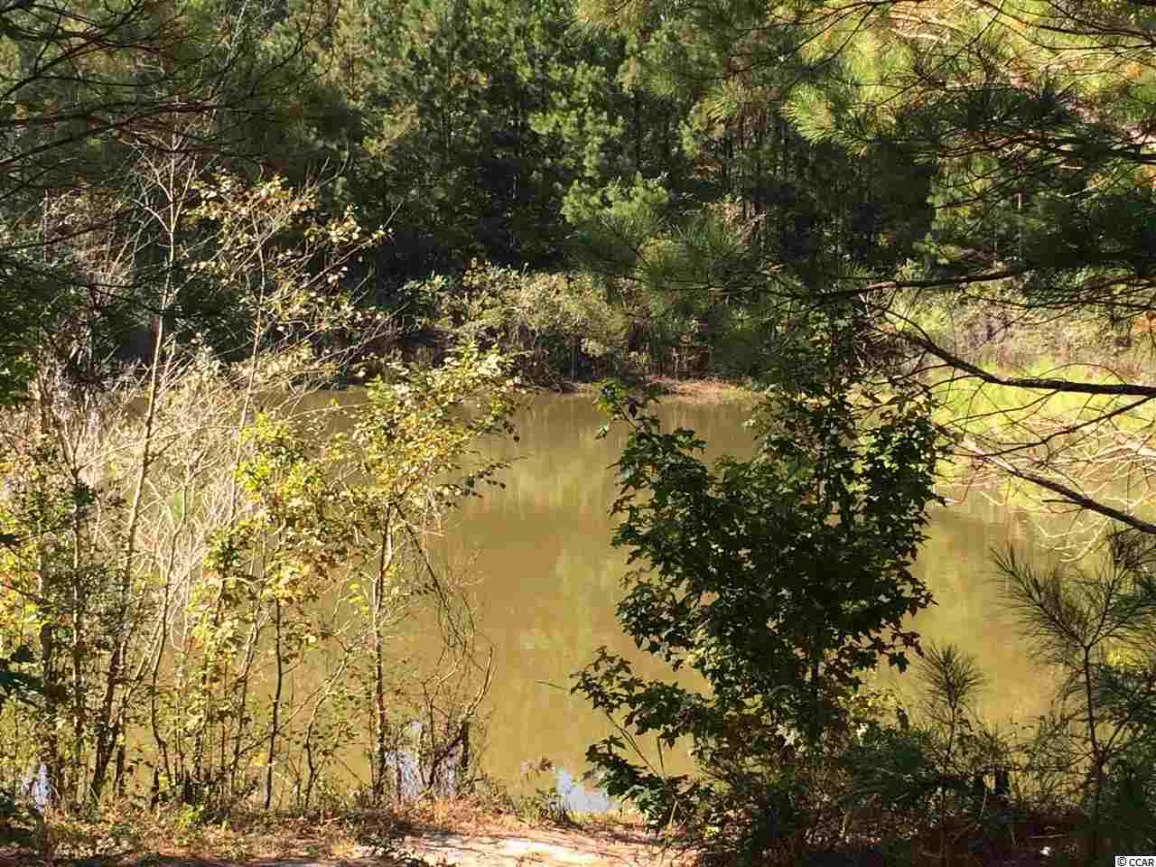 905 Longs Sc 29568 Longs, SC 29568 - Photo 9 of 9