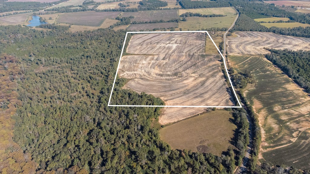 0 Paul Lamp Road Pansey, AL 36370 - Photo 5 of 6