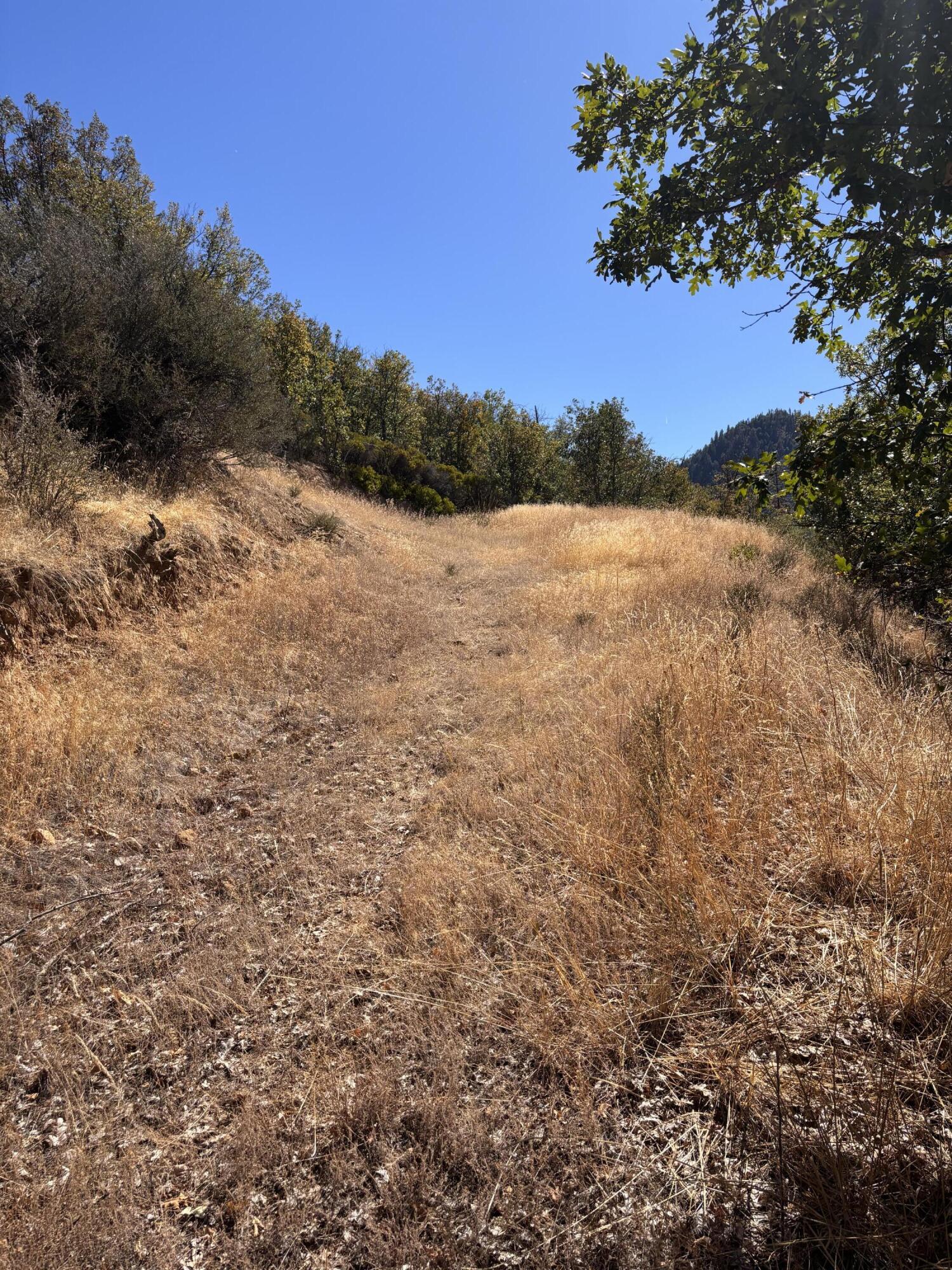 775 Barker Valley Road Hayfork, CA 96041 - Photo 33 of 41 Tier