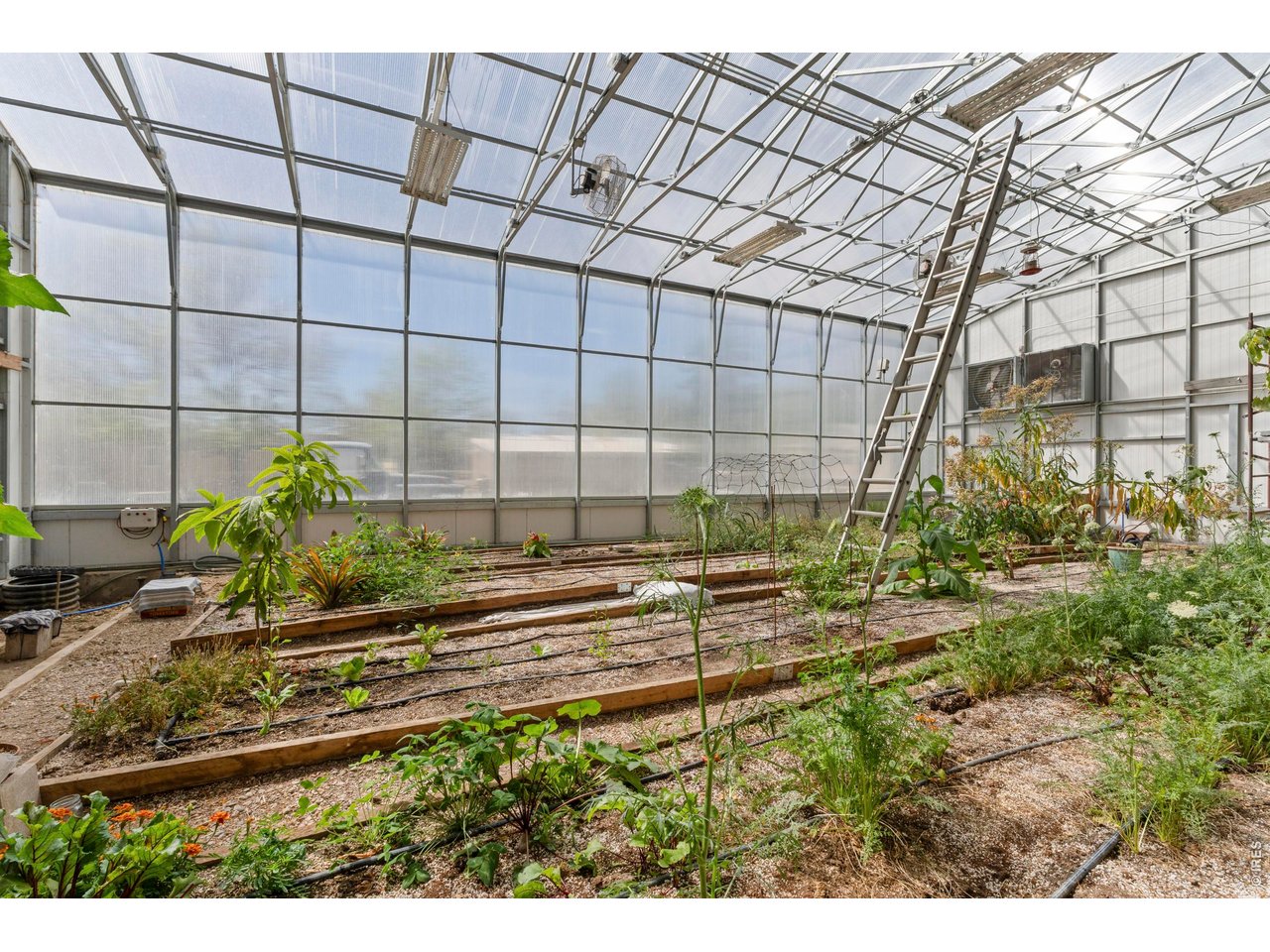 8020 South Timberline Road Fort Collins, CO 80525 - Photo 42 of 48 High-Tech Greenhouse