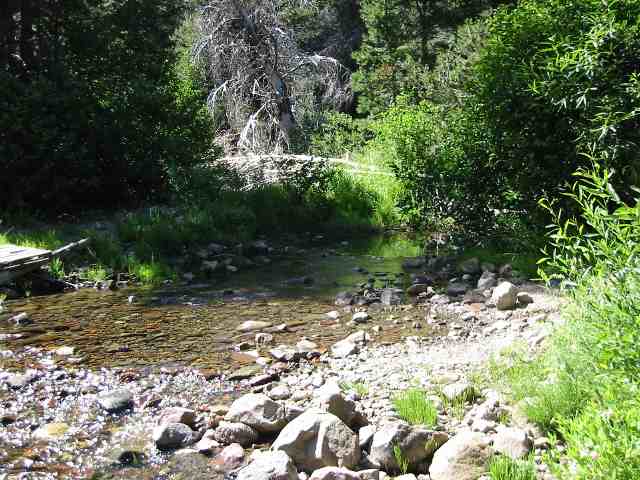 0 Cold Stream Road Truckee, CA 96161 - Photo 5 of 7