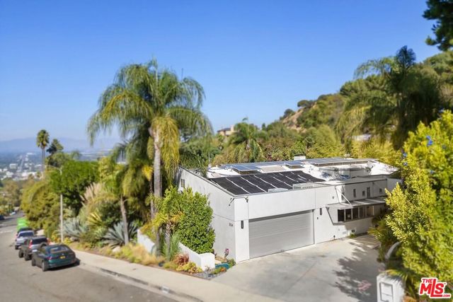 a view of a kitchen with a stove and a potted plant