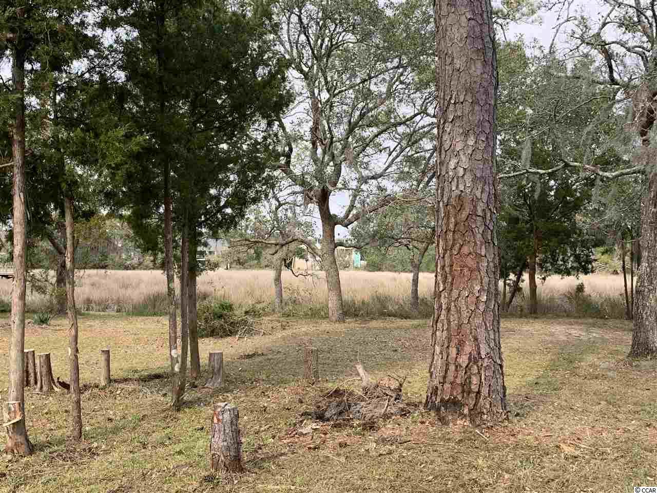 Tbd Rybolt Road Pawleys Island, SC 29585 - Photo 14 of 18 Gallery Image 14