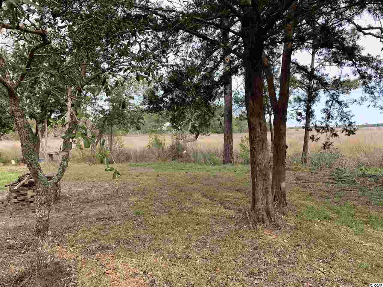 Tbd Rybolt Road Pawleys Island, SC 29585 - Photo 10 of 18 Gallery Image 10
