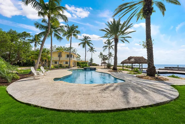 a view of a swimming pool with a garden and trees