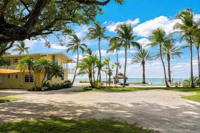 a view of a yard with palm trees