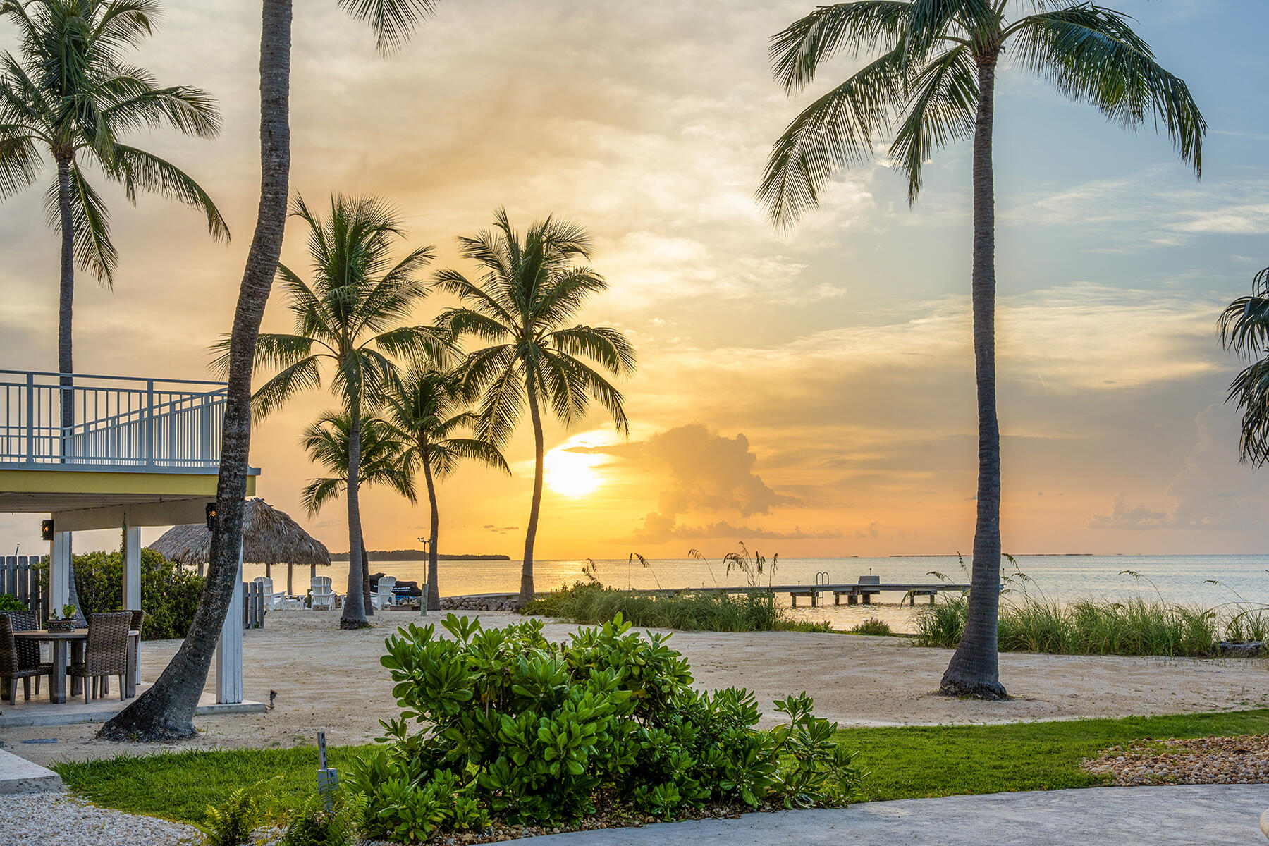 36 Sunset Road Key Largo, FL 33037 - Photo 49 of 55 a view of a yard with palm trees