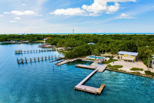 a view of a swimming pool with a lawn chairs and palm tree