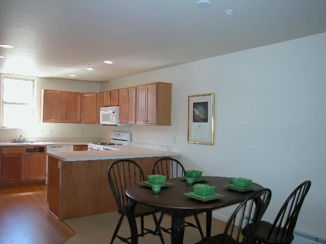 706 Lakeside Drive Basalt, CO 81621 - Photo 5 of 7 Additional Photo