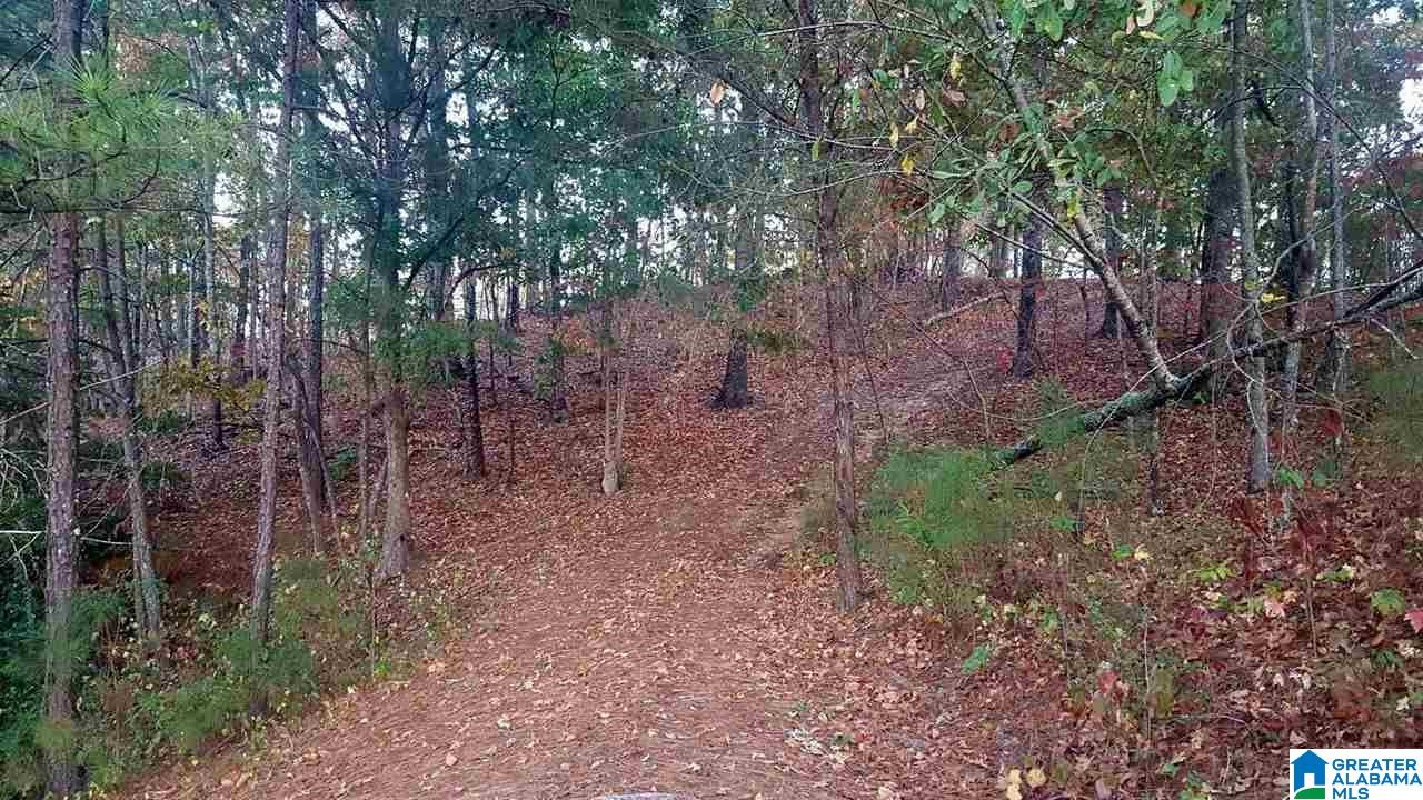 122 Earl Roberts Road Anniston, AL 36207 - Photo 31 of 37