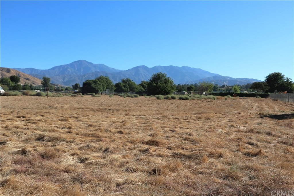 12419 13th Street Yucaipa, CA 92399 - Photo 13 of 23