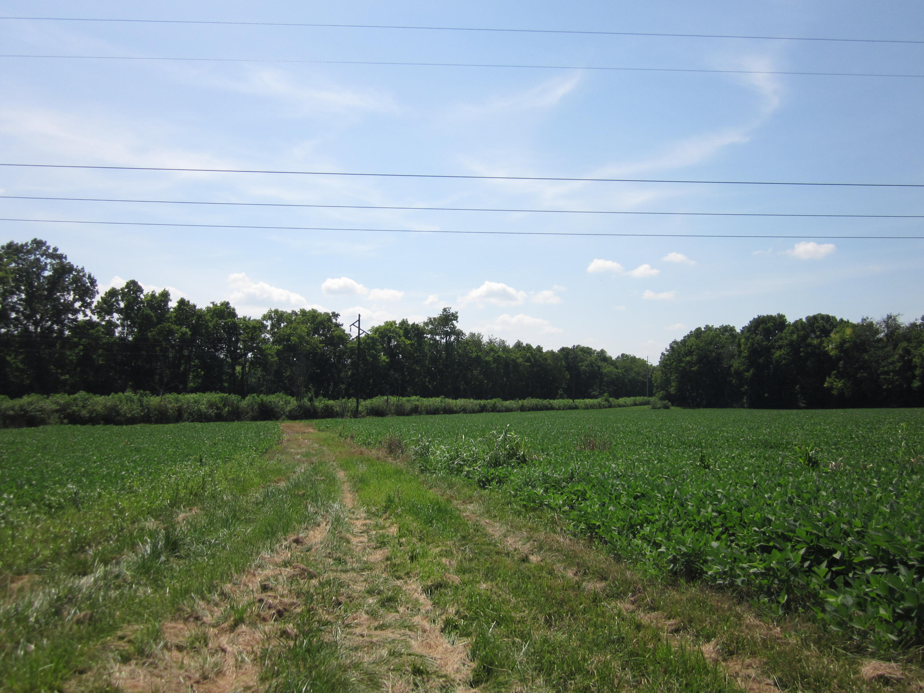 3115 Houston Antioch Road Lexington, KY 40516 - Photo 46 of 62 IMG_7826