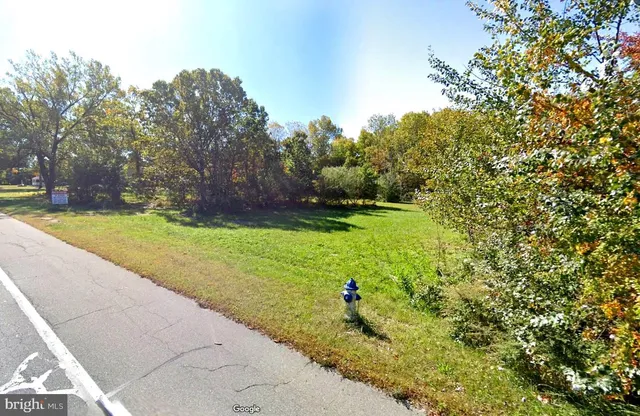 a view of a park with large trees