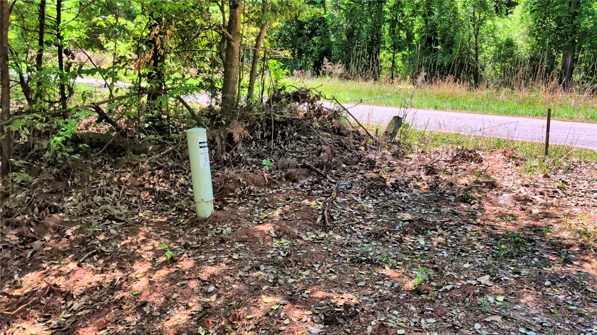 26 Wilbanks Road Seneca, SC 29678 - Photo 7 of 47 This undeveloped land offers a peaceful, wooded setting with convenient road access, ready for your vision.