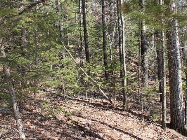 1865 Hall Road, Unit 60 Woodruff, WI 54568 - Photo 9 of 20 Gallery Image 9