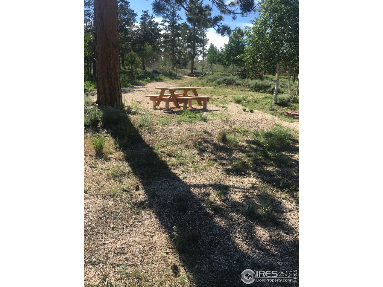 27 Cimarron Road Red Feather Lakes, CO 80545 - Photo 3 of 3 Gallery Image 3