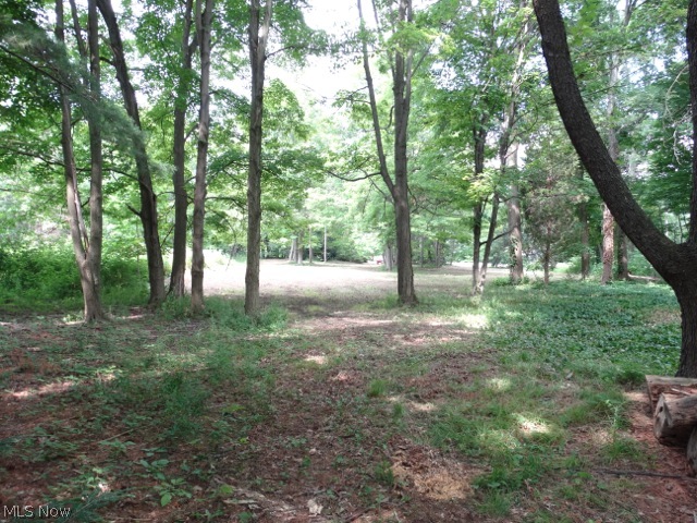 Morley Road Painesville, OH 44077 - Photo 4 of 6