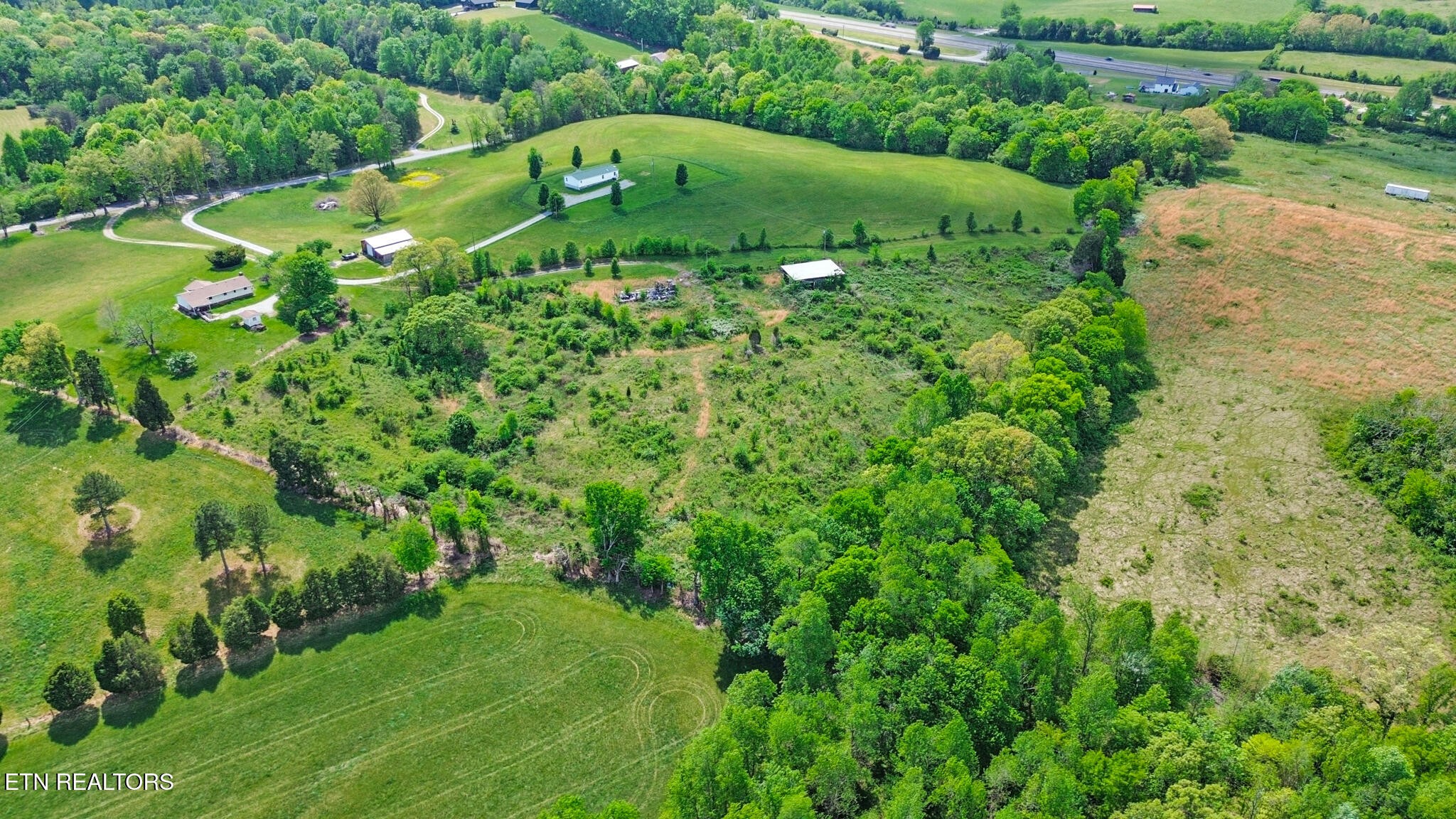 515 Trentham Road Spring City, TN 37381 - Photo 10 of 14 Gallery Image 10