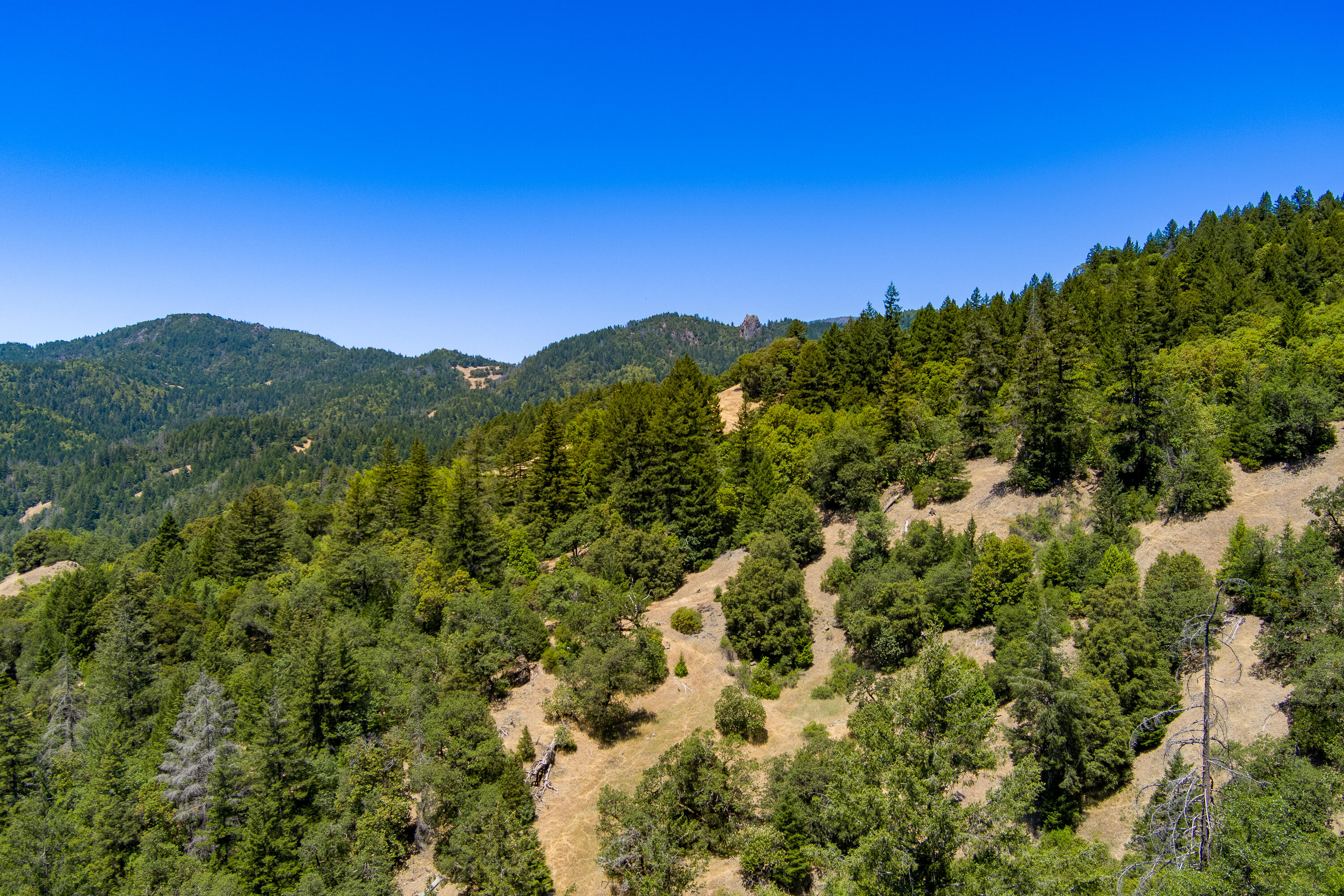 60890 Bell Springs Road Laytonville, CA 95454 - Photo 75 of 77 a view of a mountain range with lush green forest