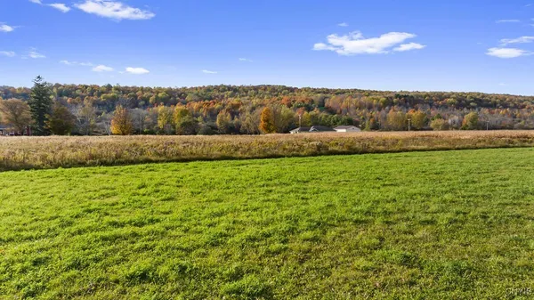 $59,500 | Oran Delphi Road, Manlius, NY 13104