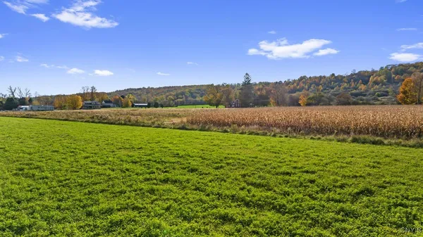 $59,500 | Oran Delphi Road, Manlius, NY 13104