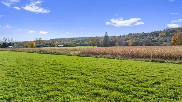 $59,500 | Oran Delphi Road, Manlius, NY 13104